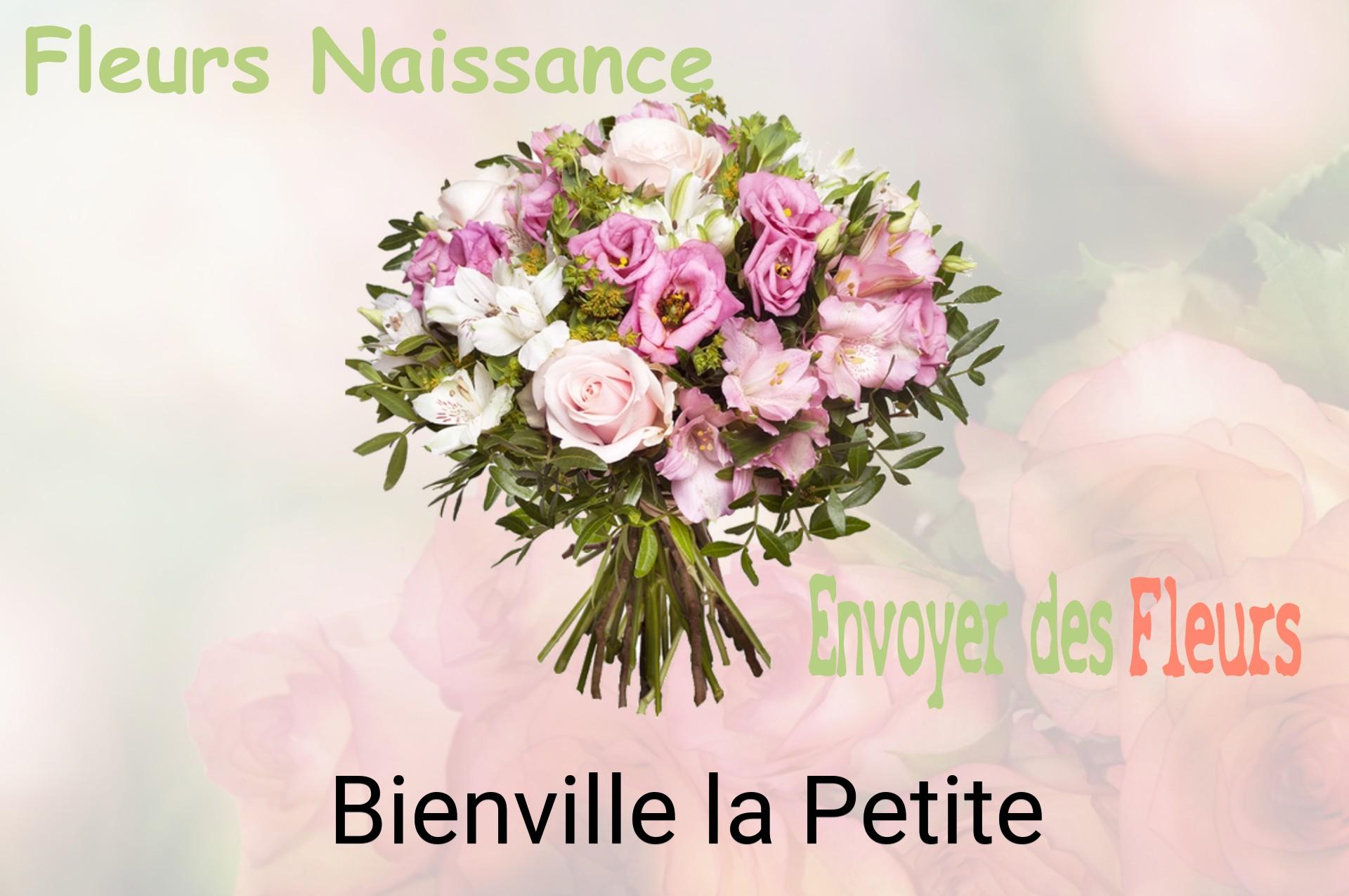 Bouquet de fleurs de naissance livré à Bienville-la-Petite